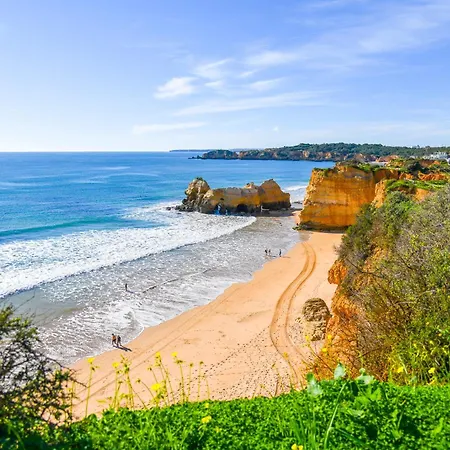 Rocha Apartment, With Pool, 100m From The Beach! Lägenhet