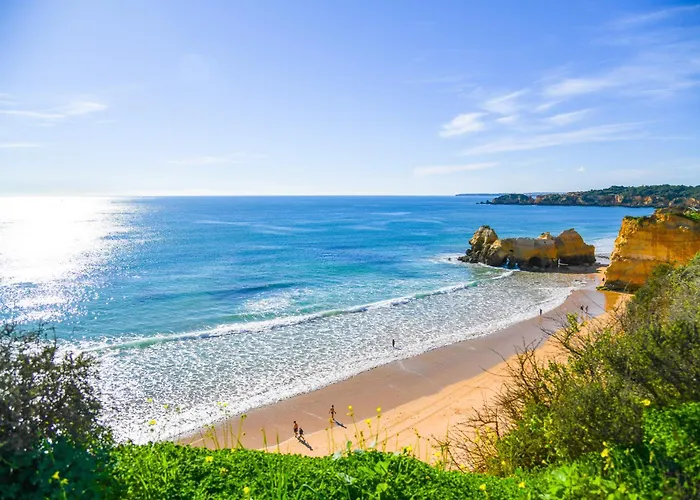 Rocha Apartment, With Pool, 100m From The Beach! 아파트 포티마오