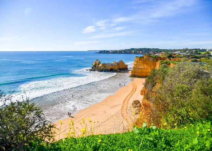 Rocha Apartment, With Pool, 100m From The Beach! 公寓